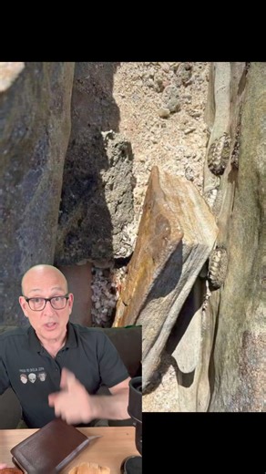 Is this a stone book? #geology #evolution #creationism #stonebook | Lost World Museum