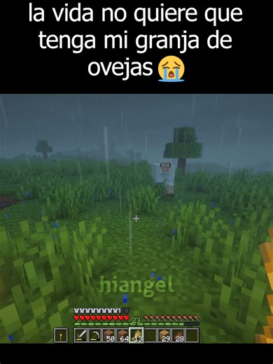la vida no quiere que tenga mi granja de ovejas 😭 #minecraft #minecraftmemes #minecraftbuilds #fyp
