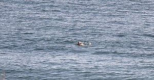 Boris Johnson spotted swimming and running in Carbis Bay