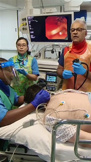 Endoscopy Training Simulation – Quick Look