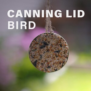 86K views · 198 reactions | Canning lid + birdseed = quick and easy feeder kids can make for the birds! | Let Grow | Facebook