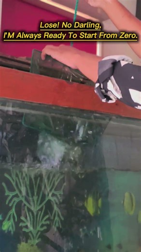 Lose! No Darling, I'm always ready to start from zero. 🚀