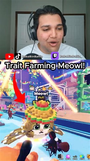 Trait Farming The Rarest Meowl! 💀🥶