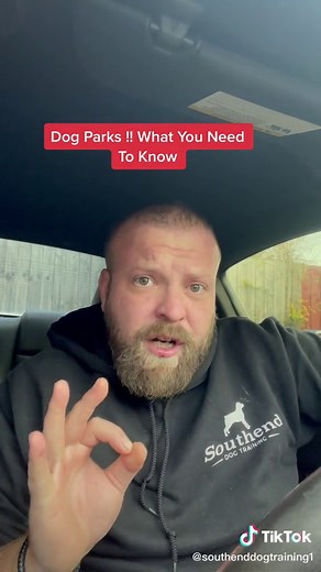 Dog Parks: Essential Tips for a Safe and Fun Visit