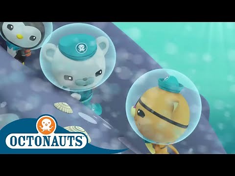 Octonauts - Underwater Stories Compilation | Cartoons for Kids | Underwater Sea Education