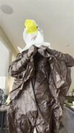 Man Struggles to Escape Inflatable Costume After Getting Stuck in It