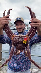 110K views · 2.1K reactions | King Crab in Norway | Chef Cuso | Facebook