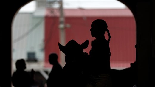 Iowa State Fair renovates livestock barns: 'Much-needed TLC'