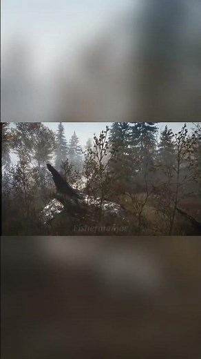 Layton Lakes #cotw #edit