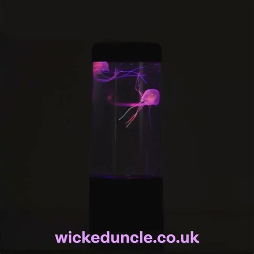 Looking for a cool and unusual gift for a teenager? Look no further than the Jellyfish Tank colour changing mood light. A brilliant addition to any teens room...💡🤩🎁 Click the link to shop : https://www.wickeduncle.co.uk/childrens-presents/jellyfish-tank-moodlight #giftsforteens #teengift #unusualpresent #wickeduncle | Wicked Uncle
