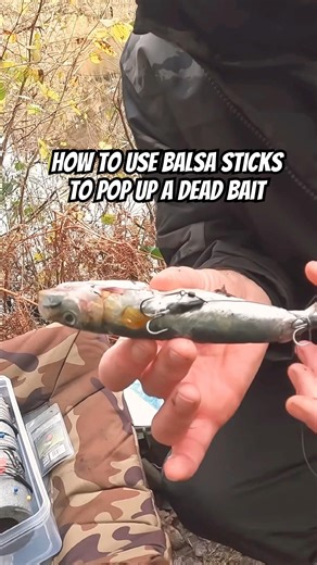 Secret Dead Bait Trick for weary Pike! #fishing #pikefishing #deadbaiting