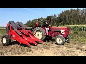 Byron 103 2-row for sweet corn