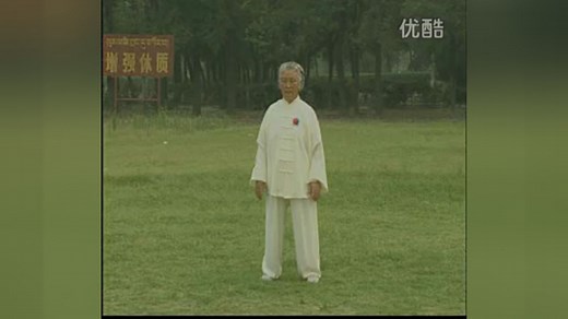 传统杨式太极拳85式教学1全套完整示范_高清1080P在线观看平台_腾讯视频