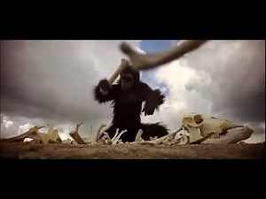 2001: A Space Odyssey | Monkey Scene (1968)