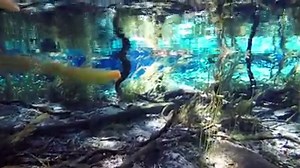 178K views · 3.7K reactions | The Aquatic Preserve has been having problems loading video lately if this video shows up on your feed give it a like so we will know it went through. Rainbow River video. | Rainbow Springs and Oklawaha River Aquatic Preserve | Facebook