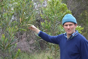 Meet the Man Who Brought DMT to the Masses