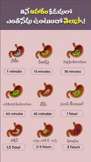 ✨🍎How Much Time Does 🥩🥔It Take To Digest Different Foods | Digestive Health Tips #teluguhealthtips