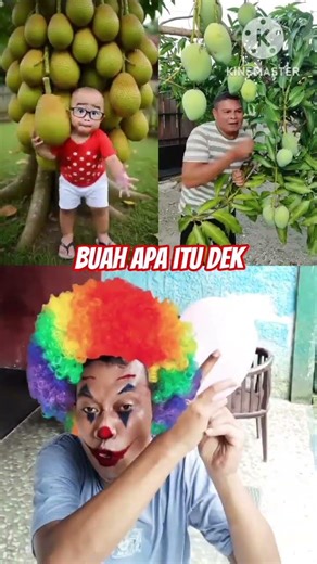 compilation||what fruit is that deck #shorts #funny