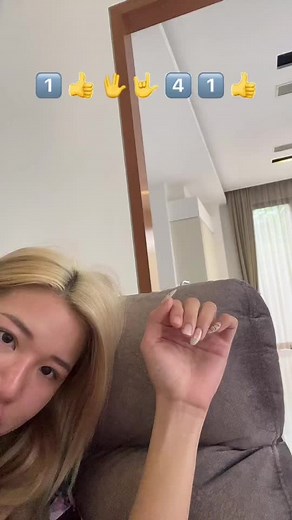 Understanding Hand Gestures in Everyday Conversations