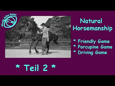 Natural Horsemanship für Einsteiger *** Teil 2 *** Die 7 Spiele nach Parelli
