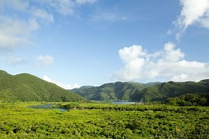 ハブの捕獲数は景気と連動？毒を飲んでも大丈夫？好きでもないハブを40年間研究してきた研究者によるハブの生態講座 【関瑶子の研究って楽しい】元東京大学医科学研究所・服部正策氏が語る、ハブの知られざる生態 | JBpress (ジェイビープレス)