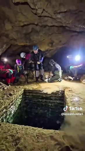 Exploring Life at Sea: Insights into Ocean Living