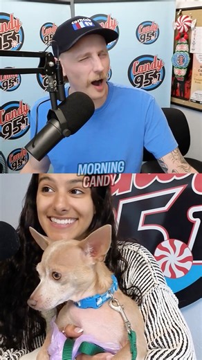 Say hello to SCARLET! She’s available for adoption right now through Long Way Home Adoptables🐶❤️ | Candy 95