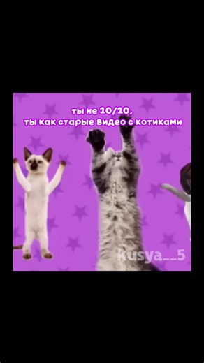 Cosmic Cats Dance Party: A Feline Musical Journey