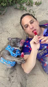 308 reactions · 75 shares | "As a veterinarian and French Bulldog owner, I fully endorse the Frenchiestore Health Harness. From the material to the design, the quality is second to none. This harness takes a lot of tension off the neck and distributes it evenly among the chest. It fits my Frenchie perfectly and I will gladly recommend this harness to all my brachycephalic patients. " - Dr. Alex Fasano Doctor of Veterinary Medicine | Frenchiestore | Facebook