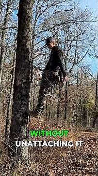 Navigating Branches Safely While Saddle Hunting