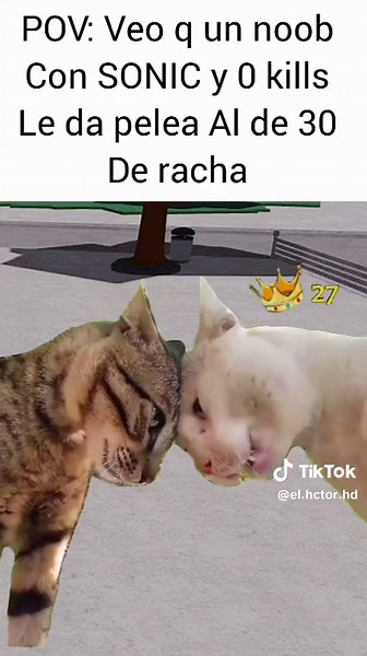 TSB Moments: Humor and Fun in Every Video