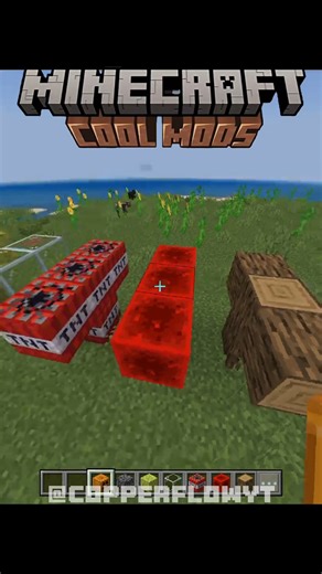 Crazy Minecraft Mods (Part 2) #minecraft #petshub #gaming #coolmods #mods