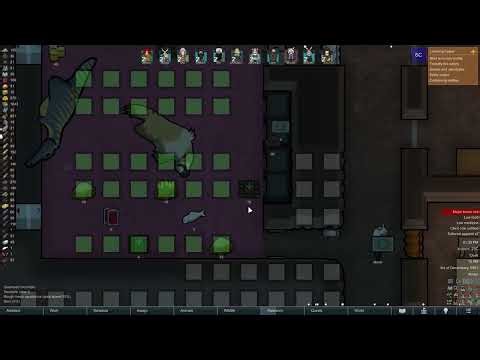 🐺 My first Relic mission #014 🌸