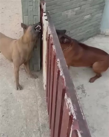 Fiat Money (@fiat_money)’s videos with original sound - Fiat Money