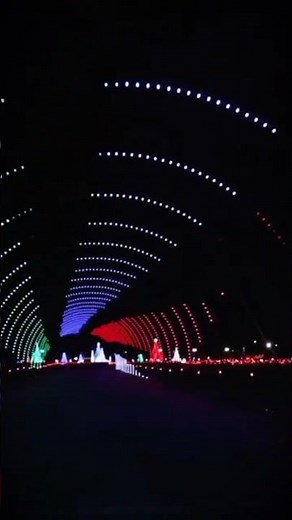 Epic Holiday Lights at the Indiana State Fairgrounds | Christmas Nights of Lights Indianapolis