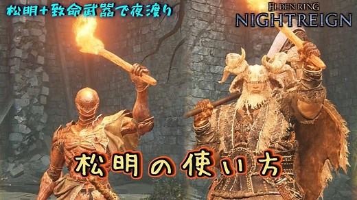 【黑夜君临】执行者与无赖，火把削韧流教学