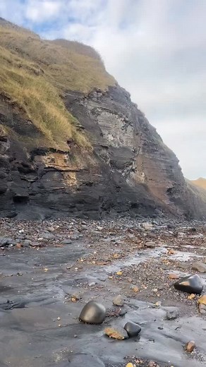 4.3K views · 1.5K reactions | A rare and unusual find today — a fossilised gastropod  Certainly not an everyday pickup on the beach! I believe it’s from the Middle Lias, making it around 190 million years old. A beautiful little piece of Jurassic history. #fossil #gastropod #fossilhunting #jurassic #middlelias #paleontology #fossilsofinstagram #fossilhunter #geology #prehistoric #beachfinds #ancienthistory #yorkshirecoast #fossilcollection #buyafossil | Forgotten Fossils | Facebook