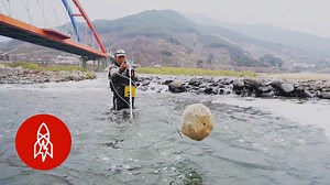 Korea’s traditional fishing technique in action