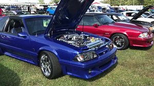 5.1K views · 582 reactions | Some bad ass foxes in the show today! thefoxcast.com Subscribe now! | Foxcast Media | Facebook