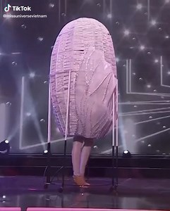 5.9K views · 41 reactions | UPDATE | Miss Vietnam in her National Costume. This is by far one of the best costume in the 69th Miss Universe. #PageantMediaPortal | Pageant Media Portal | Facebook