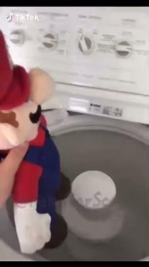 Mario in washing machine