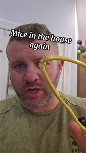 Effective Rodent Repellent Spray with Peppermint Oil