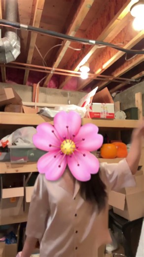 Dance in the basement