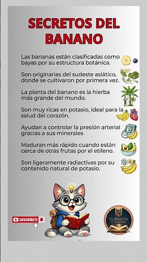 Descubre lo que no sabias del banano