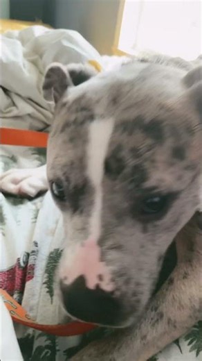 Would u be my best friend ❤️