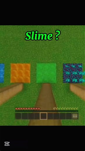 Minecraft Fall Damage 💀#vecna