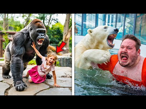 The 4 WORST Zoo Attacks Ever Recorded On Camera!