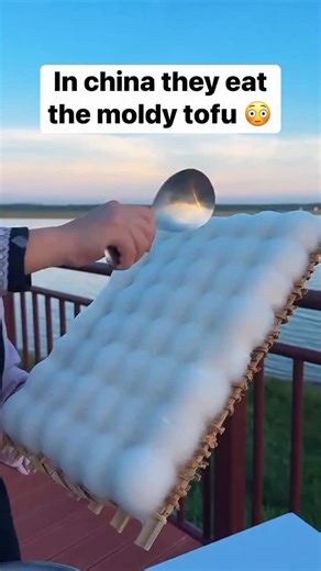 In china they the moldy tofu | jello.zyx