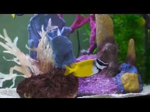 Natural Healing Arts Medical Center