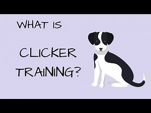 Clicker Training Your Dog - Part I